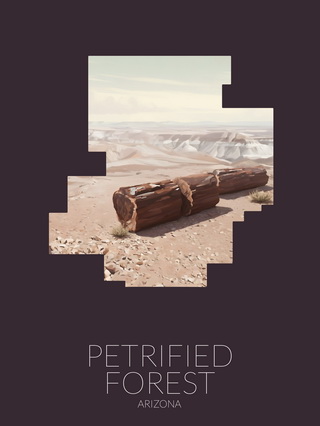 Petrified Forest National Park silhouette artwork illustration